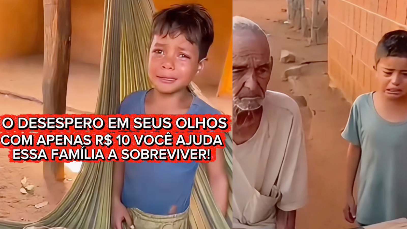 Essas crianças estão pedindo ajuda… porque a família não consegue mais sobreviver sozinha